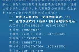 非法捕捞，举报电话看这里图片