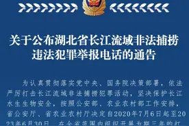 非法捕捞，举报电话看这里图片