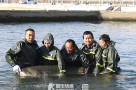 承包法国23家米其林餐厅和奥斯卡晚宴！全球近4成顶级鱼子酱产自浙江图片