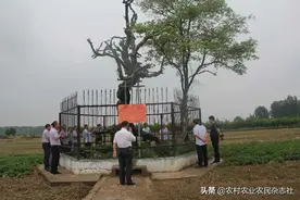 河南方城博望镇：张骞封侯地复古开发指日可待图片