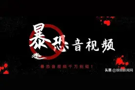 观看保存涉暴恐视频，临沂市经开区一男子被判刑图片