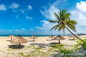 想去海南玩？这里有69条让你过得像本地人一样“苏服”的建议图片