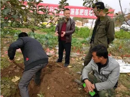 果树秋施基肥，深度怎么掌握？
