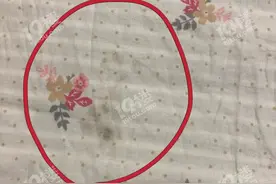 杭州姑娘3天没回家，床上全是猫的排泄物！找中介退租，却被要求交违约金…图片