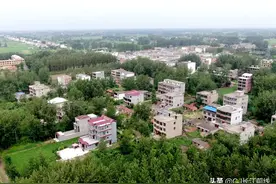 河南淮滨：高林村村民开着挖机跨省奔富路（组图）图片