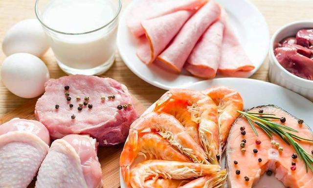 你知道动物性蛋白对猫来说多关键吗？该摄入多少你一定要知道