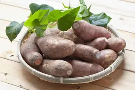 放心吃！发芽红薯叶，不会产生毒素图片