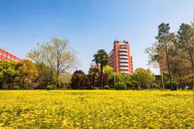 南阳师院张颖颖：图像处理研究顶级期刊发文，影响因子9.34图片