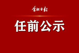 最新干部任前公示公告！涉合肥多个县（市）区党委、政府正职图片