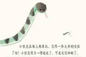 儿童绘本  小壁虎借尾巴（1）图片