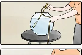 当猫咪独自在家图片