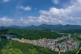 这里是大鹏！图片