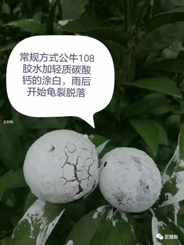 5类柑橘防晒剂大PK,优缺点详细介绍，究竟谁是下一个翘楚？
