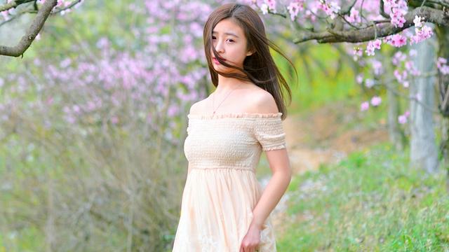 「情感散文」爱情，如一朵凋零的蔷薇花
