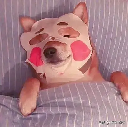 浣犵殑娲楅潰濂朵笂榛戝悕鍗曚簡鍚楋紵杩?娆惧埆涔帮紝浼氱儌鑴? onerror=