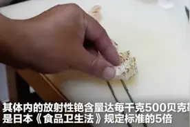 日本福岛再现“辐射鱼”，除了这种鱼，还有4种鱼再便宜也别贪嘴图片