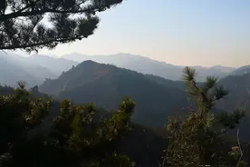 目标：愤怒的小鸟图片