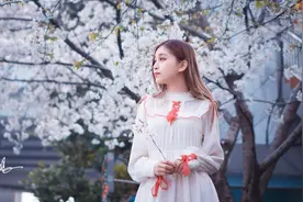 【樱花美女】人比花娇花无色,花在人前亦黯然。图片