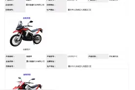 硬核拉力车无极300GY终于要登场了，这次还是双箭齐发图片