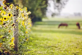 东莞2020普高特长生招生报名啦！四个类别get！图片