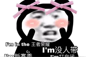 属于王者荣耀玩家的熊猫头表情包图片
