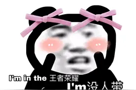 属于王者荣耀玩家的熊猫头表情包图片