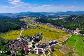 国家森林乡村——莆田市仙游县钟山镇朗桥村图片