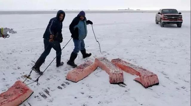 什么是酮体？我一直生酮，为什么酮体越来越低了？