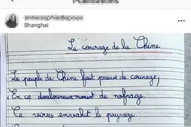 9岁法国女孩写诗赞中国“勇气” 灵感来源于在浦东机场的这段经历图片