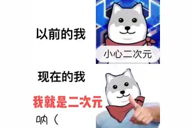 何为“二次元”？有的人听见这词觉得找到了同类，有的人觉得别扭图片