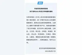 武汉市自然资源和规划局发布2021年蔡甸区最新地图赶紧一起看看吧图片