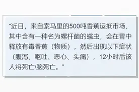 香蕉里有“螺杆菌虫”，或致人死亡？真相来了图片