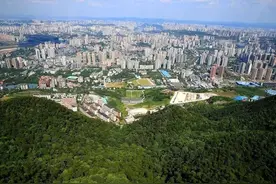 牛年首个工作日，沙坪坝书记区长齐出动，重点调研“四张牌”！图片