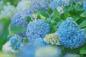 金牛座也有强势的一面？他们既体面，也很斩钉截铁图片