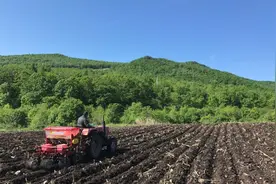 如何焖出一碗好吃的米饭？米粒Q弹，香气回甘，没有想象的那么难图片
