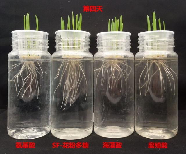 花粉多糖和氨基酸肥哪个才是作物促根首选？听听专家怎么说