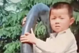 错换人生！许妈一追到底的原因让人泪目图片