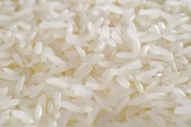 糙米与精米的区别图片