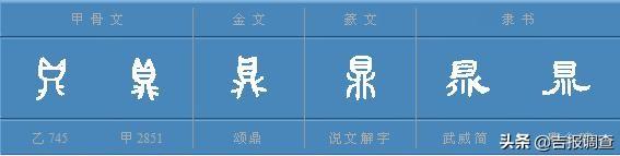 “说文解字”巧说“年”——年夜饭背后的“味道”好丰富……