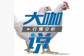 817肉杂毛鸡行情（棚前价格）5月8日图片