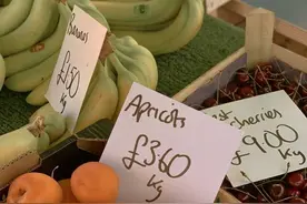 40条特别温柔的句子：没关系，天空越黑，星星越亮图片