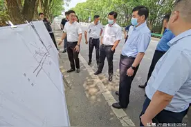 郝胜勇调研柏林地铁小镇片区建设工作：努力将宏伟蓝图变为美好现实图片