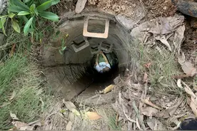 暖心！清远一男子救狗掉入下水道，消防员成功将其解救图片