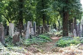 农村俗语：不怕坟头野鸡叫，就怕屋后蛤蟆跳，啥意思？有道理吗？图片