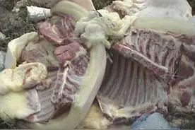 羊肉出现“黄膘肉图片