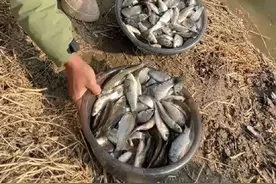 谁说蚯蚓饵过时了？知道这升级版用法的人不多，别泄露哦图片