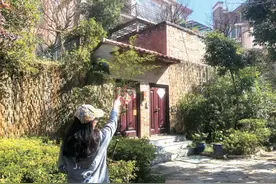 “那只狗实在是太大了！”昆明一小区德牧咬死咬伤12只小狗 百余名业主联名求助图片