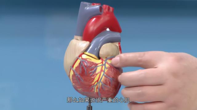孙侨潞身体乳