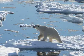 北极发现5.7万年前尸体，科学家担心有更可怕的东西，人类要警惕图片