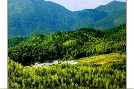 蕉城：看桃花溪村别样“红”图片